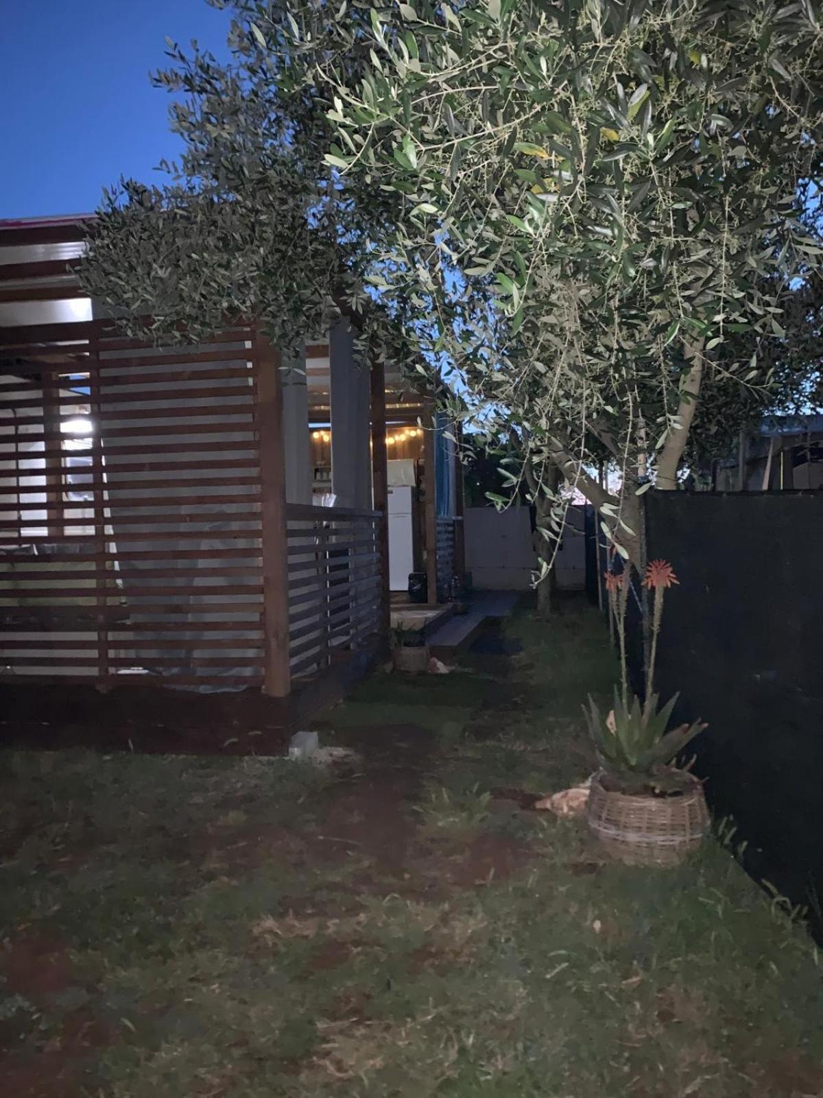 Large Camper In The Olive Grove Hotel Banjole Bagian luar foto